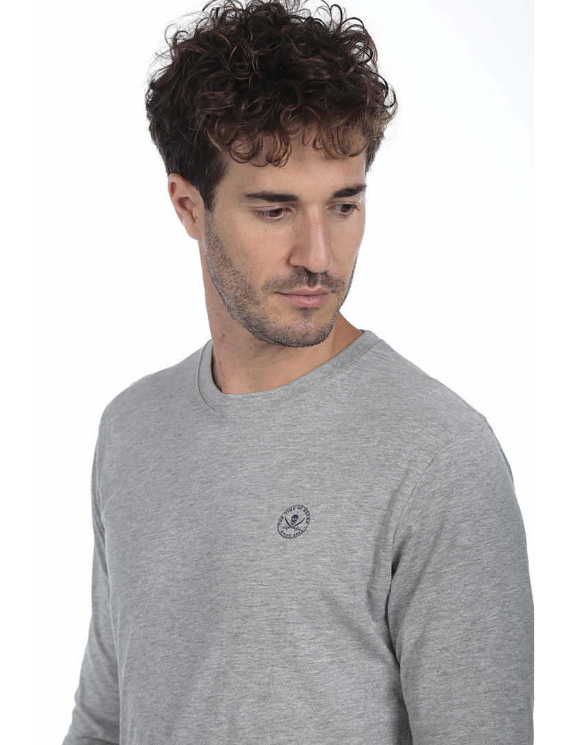 Camisola Logo Homem Cinzento