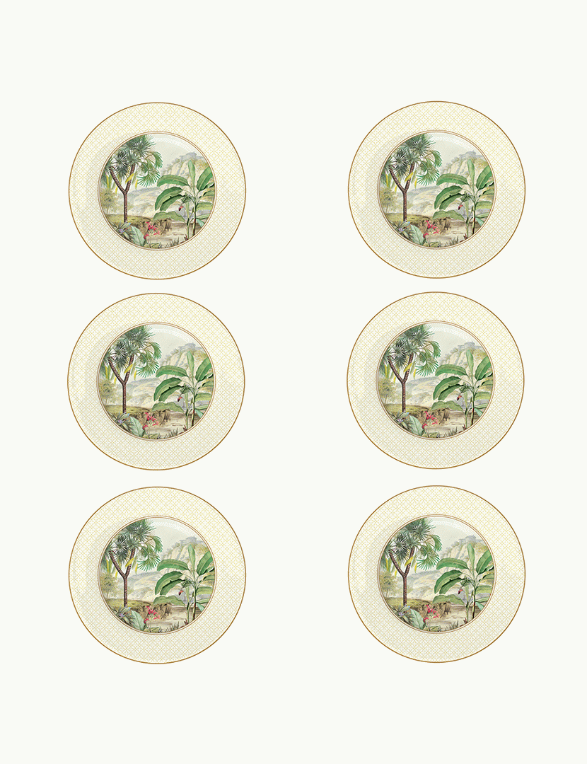 Conjunto de 6 Platos de Postre 19cm CEYLON
